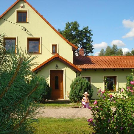 Agroturystyka Tam Gdzie Sosny Scinawka Dolna Bagian luar foto