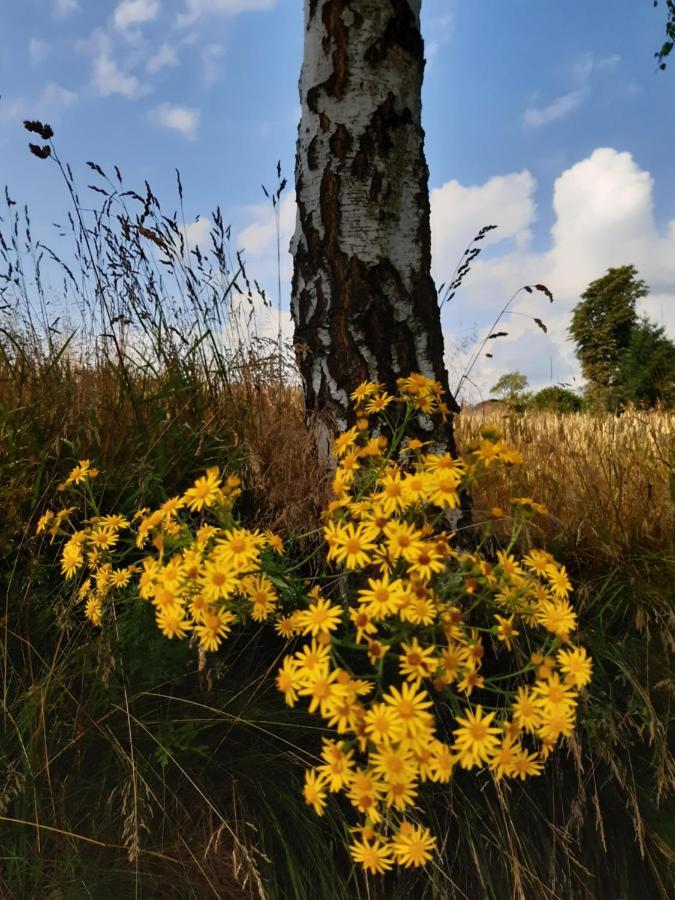 Agroturystyka Tam Gdzie Sosny Scinawka Dolna Bagian luar foto