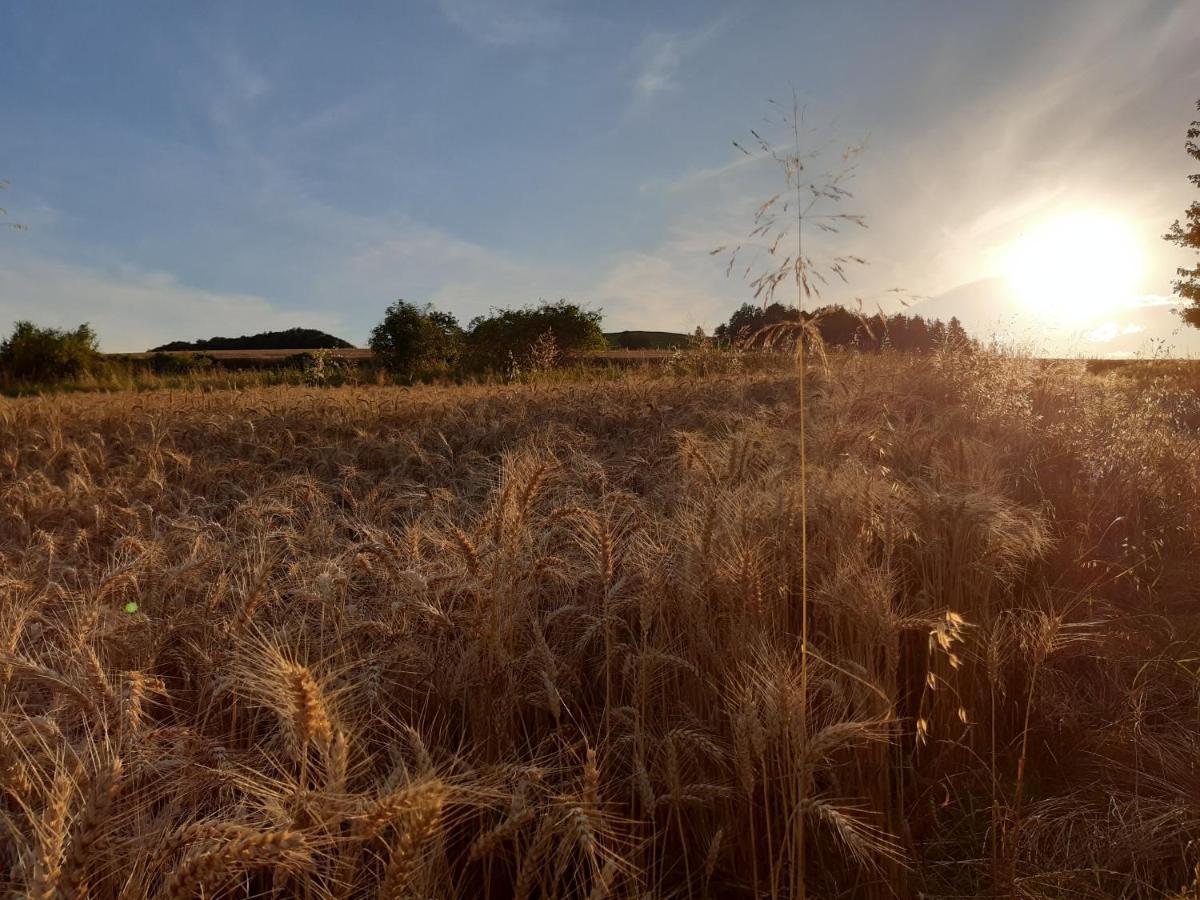 Agroturystyka Tam Gdzie Sosny Scinawka Dolna Bagian luar foto