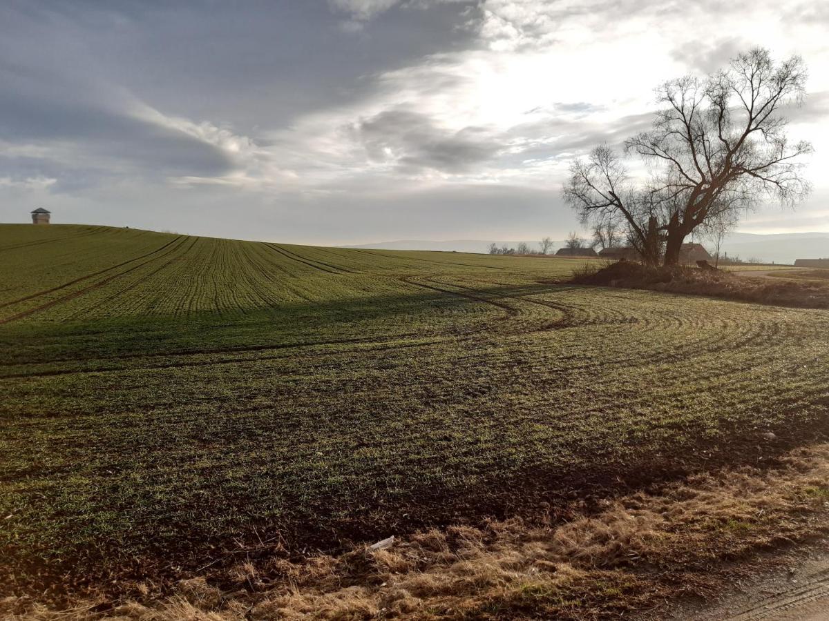 Agroturystyka Tam Gdzie Sosny Scinawka Dolna Bagian luar foto