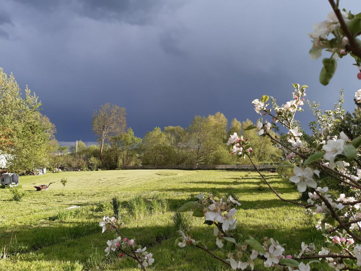 Agroturystyka Tam Gdzie Sosny Scinawka Dolna Bagian luar foto