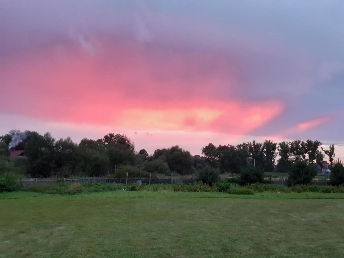 Agroturystyka Tam Gdzie Sosny Scinawka Dolna Bagian luar foto