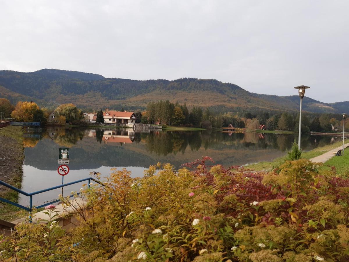 Agroturystyka Tam Gdzie Sosny Scinawka Dolna Bagian luar foto